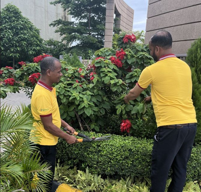 Gardening & Landscaping